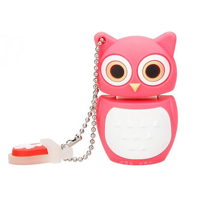 Cute Owl Style USB 20 Flash Drive Mini Portable Silicone Memory Flash Disk With Keychain
Cute Owl Style USB 20 Flash Drive Mini Portable Silicone Memory Flash Disk With Keychain