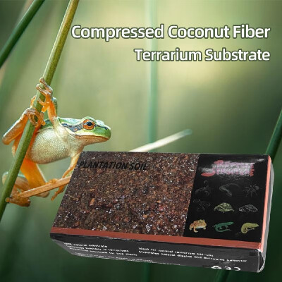 Compressed Coconut Fiber Terrarium Substrate for Tortoise Frog Lizard Spider Scorpion Snake Reptiles Pets
Compressed Coconut Fiber Terrarium Substrate for Tortoise Frog Lizard Spider Scorpion Snake Reptiles Pets
