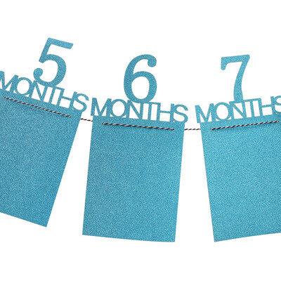 Gobestart Kids Birthday Gift Decorations 1-12 Month Photo Banner Monthly Photo Wall
Gobestart Kids Birthday Gift Decorations 1-12 Month Photo Banner Monthly Photo Wall