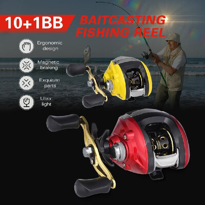 101 BB Ball Bearing 631 Bait Casting Fishing Reel One-way Clutch Baitcasting Reel LeftRight Hand Fishing Reel
101 BB Ball Bearing 631 Bait Casting Fishing Reel One-way Clutch Baitcasting Reel LeftRight Hand Fishing Reel