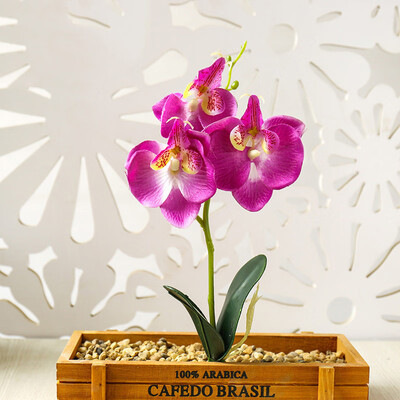 Artificial Flower Phalaenopsis Floral Fake Potted Plant Bonsai Home Office Decor
Artificial Flower Phalaenopsis Floral Fake Potted Plant Bonsai Home Office Decor