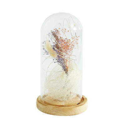 Gypsophila Romantic Simulation Glass Cover Led Micro Landscape Home Night Light Decor
Gypsophila Romantic Simulation Glass Cover Led Micro Landscape Home Night Light Decor