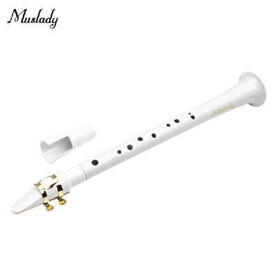 Muslady White Pocket Sax Portable Mini Saxophone Little Plastic Saxophone with Carrying Bag Woodwind Instrument
Muslady White Pocket Sax Portable Mini Saxophone Little Plastic Saxophone with Carrying Bag Woodwind Instrument