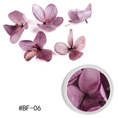 Toponeto Nail Ornament Dry Flower Color Petals Ziyang Flower Nail Dry Nail DIY Decoration
Toponeto Nail Ornament Dry Flower Color Petals Ziyang Flower Nail Dry Nail DIY Decoration