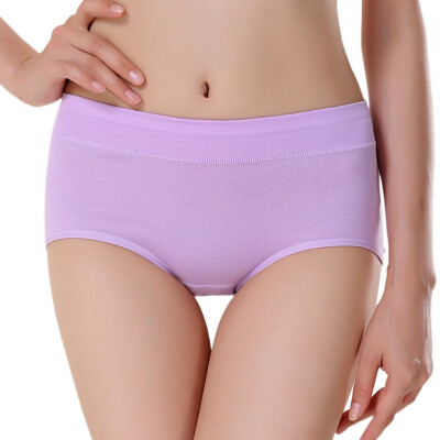 Brand Underwear Women Sexy Transparent Breathable Lace Lingerie Panties ropa interior femenina Cheap Price High Waist Briefs
Brand Underwear Women Sexy Transparent Breathable Lace Lingerie Panties ropa interior femenina Cheap Price High Waist Briefs