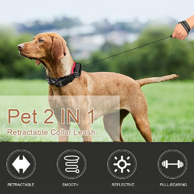 Pet 2 IN 1 Retractable Collar Leash Reflective Leash Nylon Webbing Comfortable Collar for Dogs Puppy
Pet 2 IN 1 Retractable Collar Leash Reflective Leash Nylon Webbing Comfortable Collar for Dogs Puppy