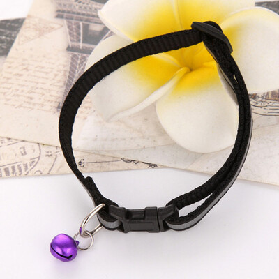 Reflective Towing Rope Kitten Collar Pet Reflector Collar Bell Collar Puppet Collar Sticker Collar
Reflective Towing Rope Kitten Collar Pet Reflector Collar Bell Collar Puppet Collar Sticker Collar