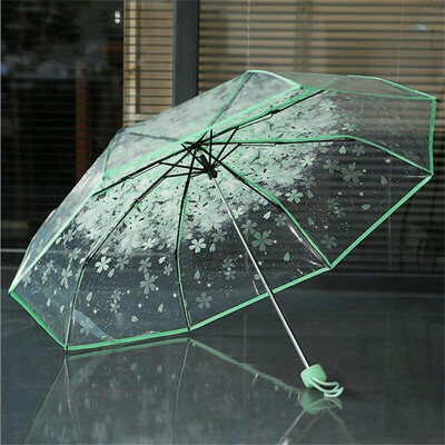 Gobestart Transparent Clear Umbrella Cherry Blossom Mushroom Apollo Sakura Umbrella Blue
Gobestart Transparent Clear Umbrella Cherry Blossom Mushroom Apollo Sakura Umbrella Blue