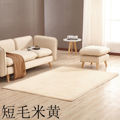 Wei Ya thickened washed silk short hair non-slip carpet living room coffee table bedroom bedside yoga mat carpet 14172
Wei Ya thickened washed silk short hair non-slip carpet living room coffee table bedroom bedside yoga mat carpet 14172