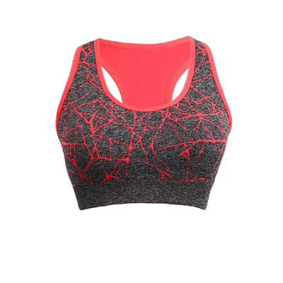 Women Push Up Sports Bra Wireless Padding Stretch Yoga Fitness Bra Workout Jogging Tank Top
Women Push Up Sports Bra Wireless Padding Stretch Yoga Fitness Bra Workout Jogging Tank Top