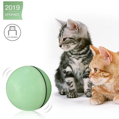 Electric Interactive Cat Toy Ball Rolling Ball for Kitten Cats Exercise Chase LED Light USB Rechargeable Steering Automatically
Electric Interactive Cat Toy Ball Rolling Ball for Kitten Cats Exercise Chase LED Light USB Rechargeable Steering Automatically