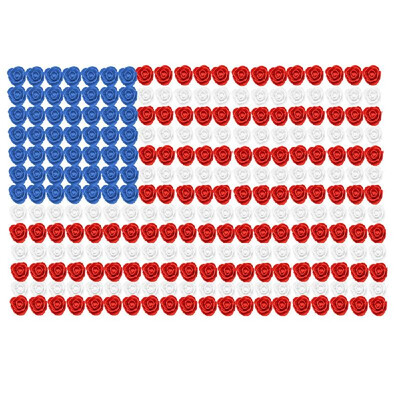 Simulation Flower 35mm 270Pcs Foam Tricolor Rose for Independent Day Decoration
Simulation Flower 35mm 270Pcs Foam Tricolor Rose for Independent Day Decoration