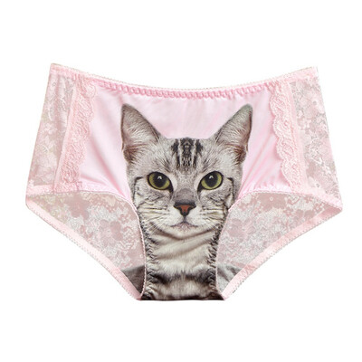 Womens 3D Cat Print Transparent Panties Sexy Lace Gauze Patchwork Panties Thin Light Seamless Underwear Briefs
Womens 3D Cat Print Transparent Panties Sexy Lace Gauze Patchwork Panties Thin Light Seamless Underwear Briefs