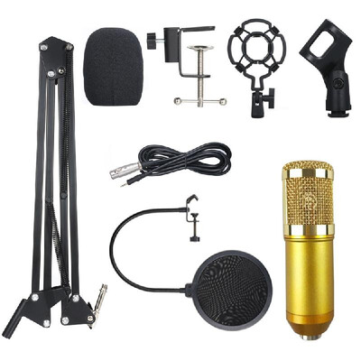 BM800 Professional Suspension Microphone Kit Studio Live Stream Broadcasting Recording Condenser Microphone Set
BM800 Professional Suspension Microphone Kit Studio Live Stream Broadcasting Recording Condenser Microphone Set