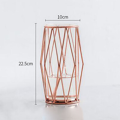 Gobestart Nordic Metal Light Luxury Style Creative Hydroponic Container Vase Ornament
Gobestart Nordic Metal Light Luxury Style Creative Hydroponic Container Vase Ornament