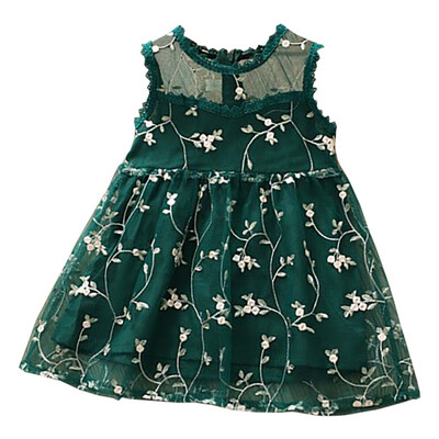 vintage Baby Girls Dress Flower Lace Hollow Princess Kids Dresses for Girl Princess Summer Girls Party Frocks Children Clothing
vintage Baby Girls Dress Flower Lace Hollow Princess Kids Dresses for Girl Princess Summer Girls Party Frocks Children Clothing