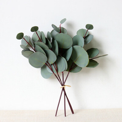 High Quality Simulation Artificial Plant Round Eucalyptus Leaves Home Decoration Fake Flower Wedding Bouquet Artificial
High Quality Simulation Artificial Plant Round Eucalyptus Leaves Home Decoration Fake Flower Wedding Bouquet Artificial