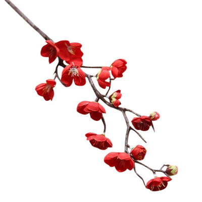 1PCS Chinese style dried branch small plum blossom cherry wedding flower artificial flower Home Wedding Party Decoration
1PCS Chinese style dried branch small plum blossom cherry wedding flower artificial flower Home Wedding Party Decoration