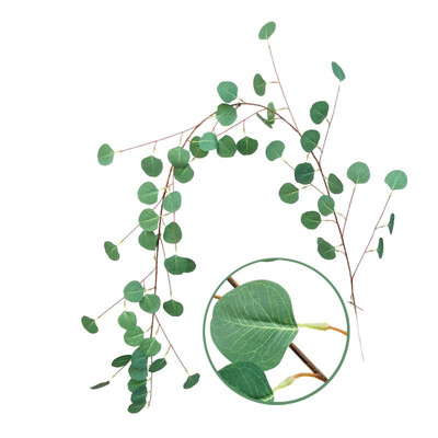 2m Artificial Eucalyptus Leaves Vine Plant Leaves Garland Home Garden Wall Wedding Party Table Decoration Green
2m Artificial Eucalyptus Leaves Vine Plant Leaves Garland Home Garden Wall Wedding Party Table Decoration Green