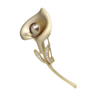 Fashion Women Shell Pearl Flower Brooch Brooch Pin Wedding Bridal Luxury Rhinestone Brooch
Fashion Women Shell Pearl Flower Brooch Brooch Pin Wedding Bridal Luxury Rhinestone Brooch