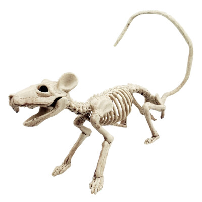 Halloween Accessories Skeleton Holiday Party Tools Escape Skeleton Space Spider Snake Bat Model Skeleton
Halloween Accessories Skeleton Holiday Party Tools Escape Skeleton Space Spider Snake Bat Model Skeleton