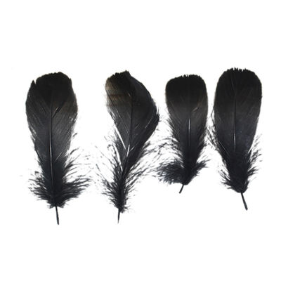 100pcslot Natural Beautiful Goose Feather Decoration floating color wedding decorations
100pcslot Natural Beautiful Goose Feather Decoration floating color wedding decorations