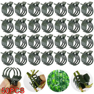 50Pcs Large Plant Support Clips Garden Orchid Clips for Supporting Flower Plant Stem Vines
50Pcs Large Plant Support Clips Garden Orchid Clips for Supporting Flower Plant Stem Vines