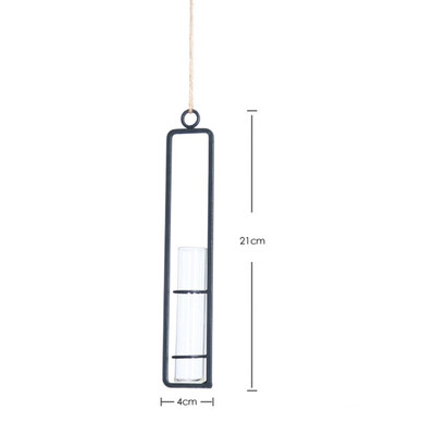Iron Glass Hydroponics Vase Planter Pot Flower Container Wall Hanging flower vase Household nordic decoration for home
Iron Glass Hydroponics Vase Planter Pot Flower Container Wall Hanging flower vase Household nordic decoration for home