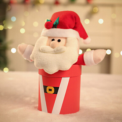 Siaonvr Christmas Plush Doll Candy Box Gift Box Christmas Window Desktop Decoration
Siaonvr Christmas Plush Doll Candy Box Gift Box Christmas Window Desktop Decoration