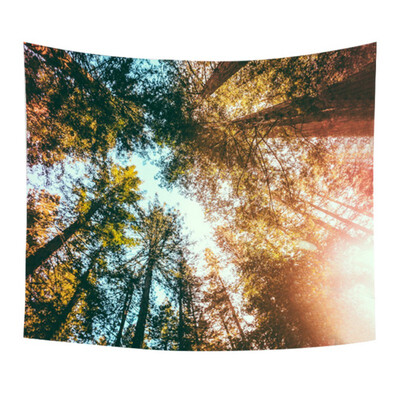 Nordic Deep Forest Wall Decor Hanging Tapestry Mandala Cloth Yoga Mats Personalized Gift Beach Throw Carpets Home Decoration
Nordic Deep Forest Wall Decor Hanging Tapestry Mandala Cloth Yoga Mats Personalized Gift Beach Throw Carpets Home Decoration
