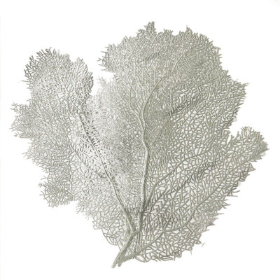 Placemat Dining table Coasters Lotus Leaf Palm Leaf Simulation Plant PVC Cup Coffee Table Mats Kitchen Christmas Home Decor
Placemat Dining table Coasters Lotus Leaf Palm Leaf Simulation Plant PVC Cup Coffee Table Mats Kitchen Christmas Home Decor