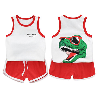 Baby Boy Clothes Summer Baby Boys Casual Sleeveless Dinosaur Print Vest T-shirt TopsShorts Costume Set 0-5T
Baby Boy Clothes Summer Baby Boys Casual Sleeveless Dinosaur Print Vest T-shirt TopsShorts Costume Set 0-5T