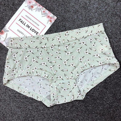 Panties for Women Ice Silk Sexy Lingerie Low Waist Print Underwear Girl Casual Briefs Female Underpants Ladies Panty
Panties for Women Ice Silk Sexy Lingerie Low Waist Print Underwear Girl Casual Briefs Female Underpants Ladies Panty