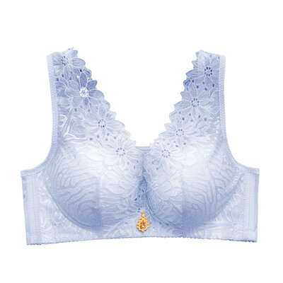 New Arrival Thin Lace Large Size No Steel Ring Vest Type Deep V Embroidery Gathered Adjustable Bra
New Arrival Thin Lace Large Size No Steel Ring Vest Type Deep V Embroidery Gathered Adjustable Bra
