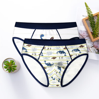 Baby 2Pieceslot Panties Children 100 Cotton Underwear Boys Suits 2019 Clothes Child Clothing
Baby 2Pieceslot Panties Children 100 Cotton Underwear Boys Suits 2019 Clothes Child Clothing
