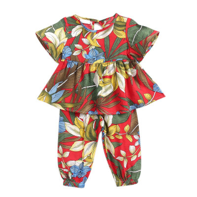 Autumn Infant Baby Girl Flare Sleeve Flower Print Blouse TopsPants Trouser Casual Costume Set
Autumn Infant Baby Girl Flare Sleeve Flower Print Blouse TopsPants Trouser Casual Costume Set