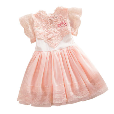 Baby Girl Lace Tutu Dress Summer Hollw Out Sundress Kids Formal Birthday Wedding Party Clothes
Baby Girl Lace Tutu Dress Summer Hollw Out Sundress Kids Formal Birthday Wedding Party Clothes