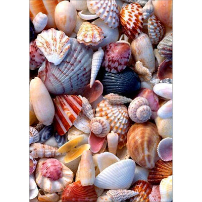 5D Diamond Painting DIY Semi-finished Still Life Theme Shell Conch Sea Simple Style Home Bedroom Office Decoration
5D Diamond Painting DIY Semi-finished Still Life Theme Shell Conch Sea Simple Style Home Bedroom Office Decoration
