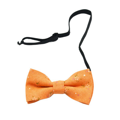 Children Baby Boys Casual Fashion Printing Bow Tie Kids Butterfly Bowtie Clothing Accessories
Children Baby Boys Casual Fashion Printing Bow Tie Kids Butterfly Bowtie Clothing Accessories