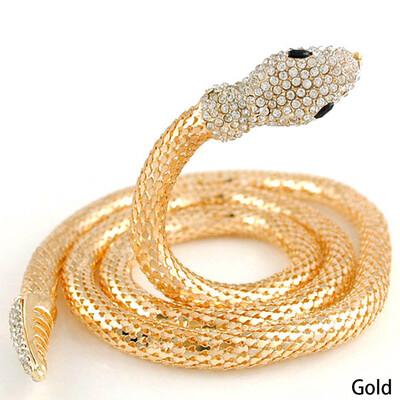 Crystal Vintage Snake Collar Necklace Modern waist belt Chunky Choker Funny Necklace Collar
Crystal Vintage Snake Collar Necklace Modern waist belt Chunky Choker Funny Necklace Collar