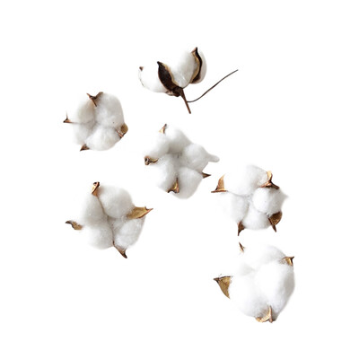 Artificial Cotton Stems Flowers Cotton Boll Branches Farmhouse Rustic Style Vase Display Filler Floral Wedding Centerpiece Decor
Artificial Cotton Stems Flowers Cotton Boll Branches Farmhouse Rustic Style Vase Display Filler Floral Wedding Centerpiece Decor