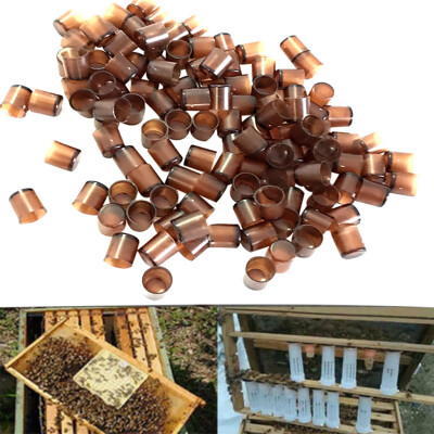 Gobestart Beekeeping tools brown beekeeping breeding beekeeping complete cell cup 120 Pc
Gobestart Beekeeping tools brown beekeeping breeding beekeeping complete cell cup 120 Pc