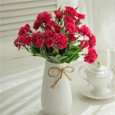 1pc 10 Heads Fresh Artificial Flower Carnation Silk Flower Fake Plant For Mothers Day Home Wedding Party Decoration Accessories
1pc 10 Heads Fresh Artificial Flower Carnation Silk Flower Fake Plant For Mothers Day Home Wedding Party Decoration Accessories