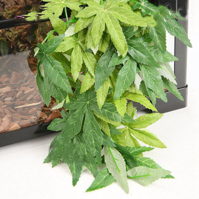 Artificial Green Leaves for Small Animal Fish Tank Decoration Non-toxic Plastic Green Leaves with Sucker Small Animal Cage Decor
Artificial Green Leaves for Small Animal Fish Tank Decoration Non-toxic Plastic Green Leaves with Sucker Small Animal Cage Decor