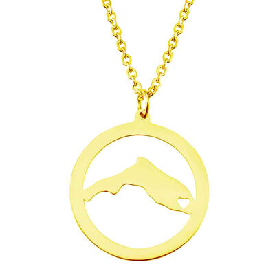 Fashion New Style arrival Florida State necklace American Stainless steel heart map pendant necklace 3 Colors For Women Gifts
Fashion New Style arrival Florida State necklace American Stainless steel heart map pendant necklace 3 Colors For Women Gifts