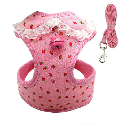 Breathable Mesh Small Dog Pet Harness&Leash Set Puppy Vest For Dog Cat Hot
Breathable Mesh Small Dog Pet Harness&Leash Set Puppy Vest For Dog Cat Hot