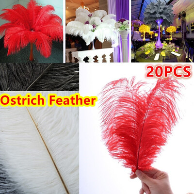 51820pcs Fluffy Soft Ostrich Feathers for Wedding Party Craft Decorations 12-14 inch30-35cm
51820pcs Fluffy Soft Ostrich Feathers for Wedding Party Craft Decorations 12-14 inch30-35cm