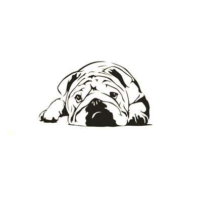 Sleeping Dog Removable PVC Mural Wall Stickers Sitting Room Bedroom Bathroom Sticker 3460CM
Sleeping Dog Removable PVC Mural Wall Stickers Sitting Room Bedroom Bathroom Sticker 3460CM