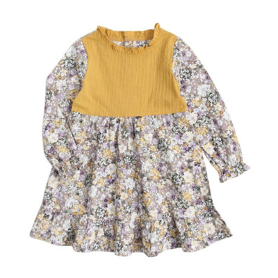 Fashion Baby Dress Long Sleeve Pirncess Girls Clothes Spring Autumn Winter Children Dresses For Girl Floral Clothing Vestidos
Fashion Baby Dress Long Sleeve Pirncess Girls Clothes Spring Autumn Winter Children Dresses For Girl Floral Clothing Vestidos