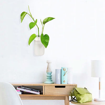 Sticky Container Decorative Flower Display Vase Wall Mounted Planter Vase Plant Holder Home Wall Decor Vase Decoration Home
Sticky Container Decorative Flower Display Vase Wall Mounted Planter Vase Plant Holder Home Wall Decor Vase Decoration Home